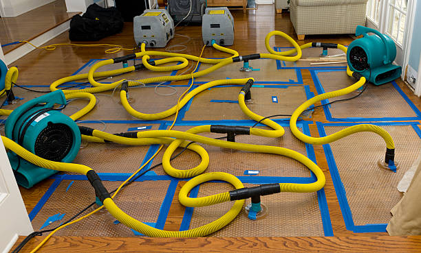 Professional Water Damage Repair technician working in Summitville, OH